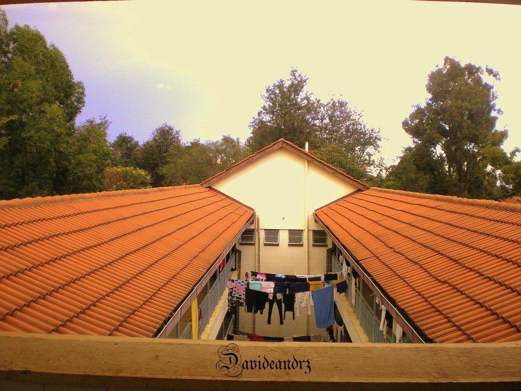 My Campus Dark&nbsp;Nights